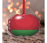 Stained Acrylic Window Hanging Belarus Ornament Keepsake World State Map Flag Souvenir Latin America Hispanic Country European Asia Africa Flags Wall Decor for Bedroom Office Home Decoration Keepsake
