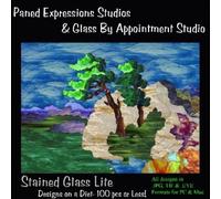 Stained Glass Lite Designs on a Diet - 100 pcs or Less! by Paned Expressions Studios (2006-03-31)