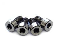 Stainless/Black Alloy Steel/Titanium - Floyd Rose Style Guitar Locking Nut Screws Set - MonsterBolts (Qty 4, Titanium)