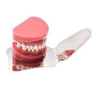 Stainless Stee Dental Photography Mirror Oral Reflector for Orthodontic Use Professional Teeth Examination Tool(B)