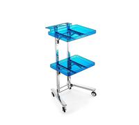 Stainless Steel 2-Tier Rolling Cart for Bedroom and Kitchen - Ideal for Tattoo Shop and Salon - Metal Trolley Tray Storage Cart with Wheels - 86x30x40cm