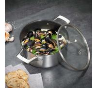Stainless Steel 24cm 'Hex Guard' Non Stick Long Lasting Casserole Stock Pot Cooking Dish with Glass Lid Hairy Bikers Silver 4L