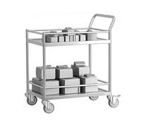 Stainless Steel 2Tier Labora CartTrolley with Silent Universal Wheels and Raised Eds (201.6 x 40 cm) le Sto Solut for Labs and Worpaces