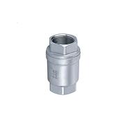 Stainless Steel 304, 316 Threaded Vertical Check Valve, One-Way Flow Valve, Lift Type Threaded Vertical Check Valve(304DN15)