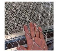 Stainless Steel 304 Climbing Plant Net Trellis Safety Fence for Garden Soccer Field Zoo Balcony - Versatile 1x5m Outdoor Barrier