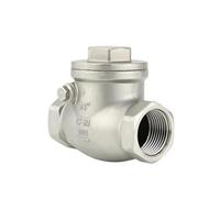 Stainless Steel 304 Switch Check Valve 1" inch Thread DN25 SS201 SS304 316 2 Way Water Swing Check Ball Valve(SS201)