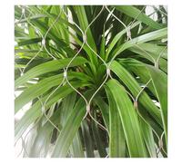 Stainless Steel 304 Wire Rope 8cm/1.5mm Stair Safety Net Heavy Duty Barrier Mesh for Protection (2x20m) Durable Staircase Guardrail Solution