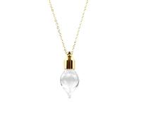 Stainless Steel Ashes Vial Necklace Urn Necklace Urns for Human Ashes Test Tube Necklace for Women Men Teens Party Gift Jewelry, Stainless Steel, No Gemstone