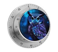 Stainless Steel Blue Owl Kitchen Timer Chef Cooking Timer Clock with Loud Alarm Magnetic Countdown Countup Timers for Fitness Baking Studying