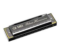 Stainless Steel Blues Harmonica, Deluxe 10-Hole Harmonica in the Key of C with Case Gift Accessory