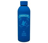 Stainless steel bottle Warner Bros. Discovery Harry Potter Ravenclaw Doré 700 ml