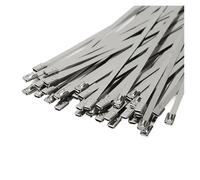 Stainless Steel Cable Ties 100pcs Stainless Steel Cable Tie 12mm Automatic Zip Hand Tensioning Tool Fastening and Cutting Pliers Stainless Steel Metal Cable Tie(7.9x500mm)
