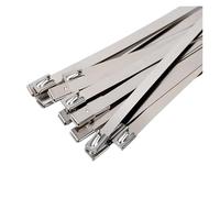 Stainless Steel Cable Zip Ties, 304 Stainless Steel Cable Tie Silver Multiple Sizes 10 20 50 100 200 Pcs(10pcs,10x600mm)