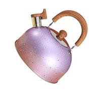 Stainless Steel Chain, Whistling Water Boiler Fast Heat, Exquisite Kettle Teapot Boiler Kettle For Whistle Reminder, For The Office