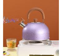 Stainless Steel Chain, Whistling Water Boiler Fast Heat, Exquisite Kettle Teapot Boiler Kettle For Whistle Reminder, For The Office