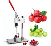 Stainless Steel Cherry Pitter Tool, Fruit Corer Remover for Hawthorn, Push Out Pit Remover for Easy Use