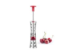 Stainless Steel Cherry Pitter Tool,Press-Type Fruit Corer with Silicone Pad for Cherries, Olives & Dates - Portable Seed Remover for Kitchen & Travel (Red)