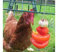 Stainless Steel Chicken Food Vegetable Fruit Hanging Feeder Toy Veggie Skewer with Chain and for Foraging Entertainment Holder Birds