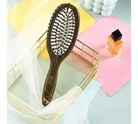 Stainless Steel Comb ，Hairdressing Combs，1 Pack Men And Women Hair Loss Reduction Massage Airbag Cushion Wet Curling Styling