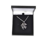 Stainless Steel Crest Necklace & Pendant Rangers FC Silver One Size