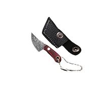 Stainless Steel Damascus Pattern Mini Small Kitchen Meaning Wealth Demolition Express Bag Cutting Fruit Hanging Ornament Keychain Robot Keychain (A, One Size)