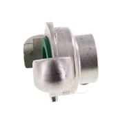 Stainless Steel DN 15 DIN 3489 Twist Claw Coupling Rp 3/8'' Female