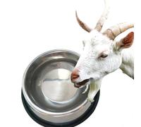 Stainless Steel Dog Bowl - Anti Tipping Cat Bowl, Outdoor Heated Pet Bowl | Stainless Steel Frost Resistant Food and Water Container - r