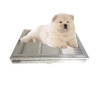 Stainless Steel Dog Toilet, Drawer Large Dog Toilet, pet Training mesh Cleaning Easy, Non-Slip Rubber Foot Belonging Floor Protection, Easy Cleaning (Size : 62x42x7.5cm)