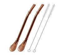Stainless Steel Drinking Straws with Filter Spoon, 2 Pack Tea Straws, Mate Bombilla, Coffee Stirrer Stick for Iced Tea, Cocktail, with 2 Cleaning Brush (Rose Gold)