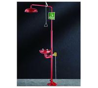 Stainless Steel Emergency Eye Wash Station with Shower Combination Eyewash Station, Safety Shower Eye Washer, for Use in Chemical Plants and Laboratories Worksite(Red,Pedal model)
