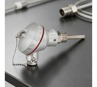 Stainless Steel Encased PT100 Temperature Probe with M20x1.5 Thread for Process Instrumentation and Data Logging (50mm)