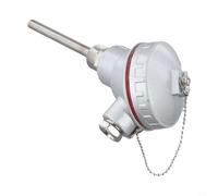 Stainless Steel Encased PT100 Temperature Probe with M20x1.5 Thread for Process Instrumentation and Data Logging (100mm)