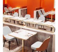 Stainless Steel Framed Glass Room Dividers for Dining Areas, Decorative Low Partitions for Restaurants, Golden Finish, 100 x 25 cm Paneles Divisorios.