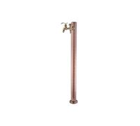 Stainless Steel Garden Water Column Faucet, Freestanding Outdoor Retro Design, Double Outlet Vertical Post for Courtyards, Parks, Villas - Durable Carved Spout