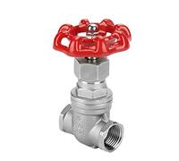 Stainless Steel Gate Valve DN15, Durable Control