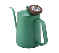 Stainless Steel Gooseneck Coffee Kettle with Built-in, 600mlPouring Kettle for Pour-Over- Green