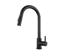 Stainless Steel Kitchen Faucet with Pull-Down Sprayer Hot & Cold Water Mixer Ideal for Vegetable Washing & Sink Cleaning (Silver Cylinder)