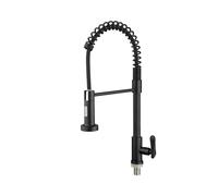 Stainless Steel Kitchen Tap with Wall-Mounted Spray, Single Handle Cold Water Faucet for Top Mount Kitchen Sink, Modern Design and Durable Finish,Black B