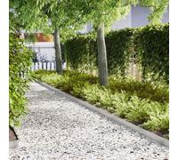 Stainless Steel Lawn Edging, Pack of 20, 100 x 0.05 x 15 cm, Silver, Flexible Flower Bed Border, Weatherproof Mowing Edge for Path Limiting, Palisade for Garden, Patio, Lawn Edging and Landscaping