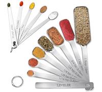 Stainless Steel Measuring Spoons Set of 13, Includes 7 Rectangular & 5 Tiny Spoons and 1 Leveler, Compact Design for Spice Jars, Ideal for Dry and Liquid Ingredients