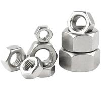 Stainless Steel Metric Fine Thread Hex Nut