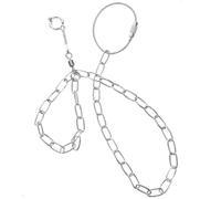 Stainless Steel Parrot Chain Leash for Bird Training and Outdoor Use | Portable Anklet Style, Rust Resistant Build, White Finish, for Parrot and Bird Movement
