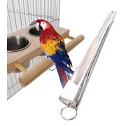 Stainless Steel Parrot Feeder - Long Handle Bird Food , Professional Feeding Spoon for Parrots | Cockatiels and Pet Birds | AV Care Tool
