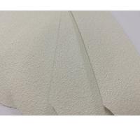 STAINLESS STEEL PEDICURE FILE REFILL PADS , 100 GRIT , WHITE COLOUR , 60 COUNT