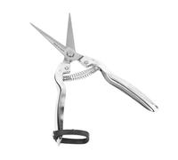 Stainless Steel Pruning Shears Gardening Tool Serrated Handle for Fruit Trees and Rough Branches Pruning Shears