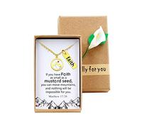 Stainless Steel Real Mustard Seed Necklace Inspirational Faith Pendant Mustard Seed Jewelry Religious Christian with Gift Box, Metal, resin