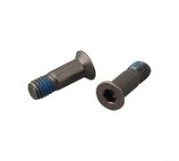 Stainless Steel Rear Derailleur Bolts M5x16mm 2pcs