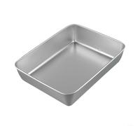 Stainless Steel Rectangular Serving Tray for Food, Fruit, Salad, Mirror Shine, Dishwasher Safe, for Picnic, Camping, Kitchen, Silver (25 x 20 x 5.5)