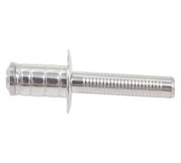 Stainless Steel Rivet,30/50pcs Stainless Steel High Strength Blind Rivet Large Blind Side Bearing Area(4.8x12 Mm,30Pcs)