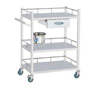 Stainless Steel Rolling Cart - 2-Layer Medical Trolley for Laboratory, Clinic, Hospital Use